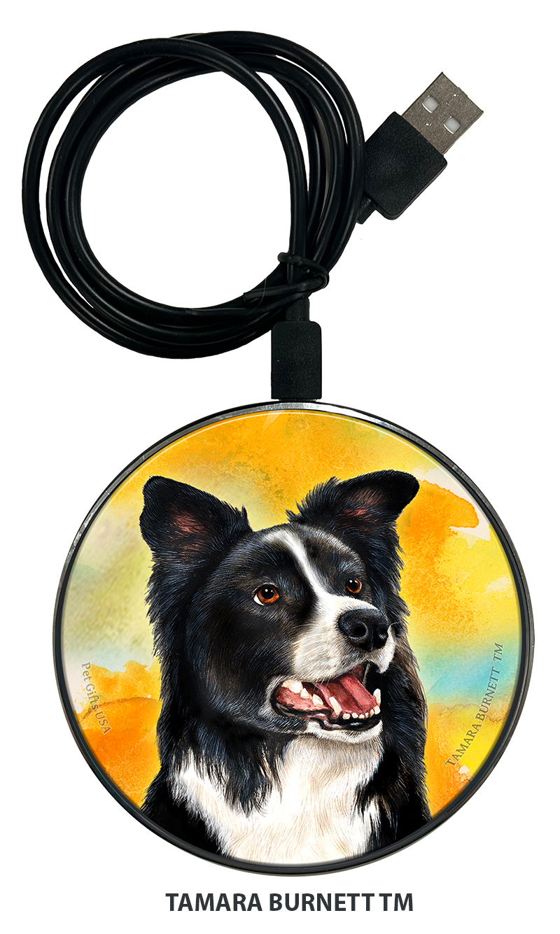 An image of product 29596 - Border Collie Black and White - Zoomies Phone Charger