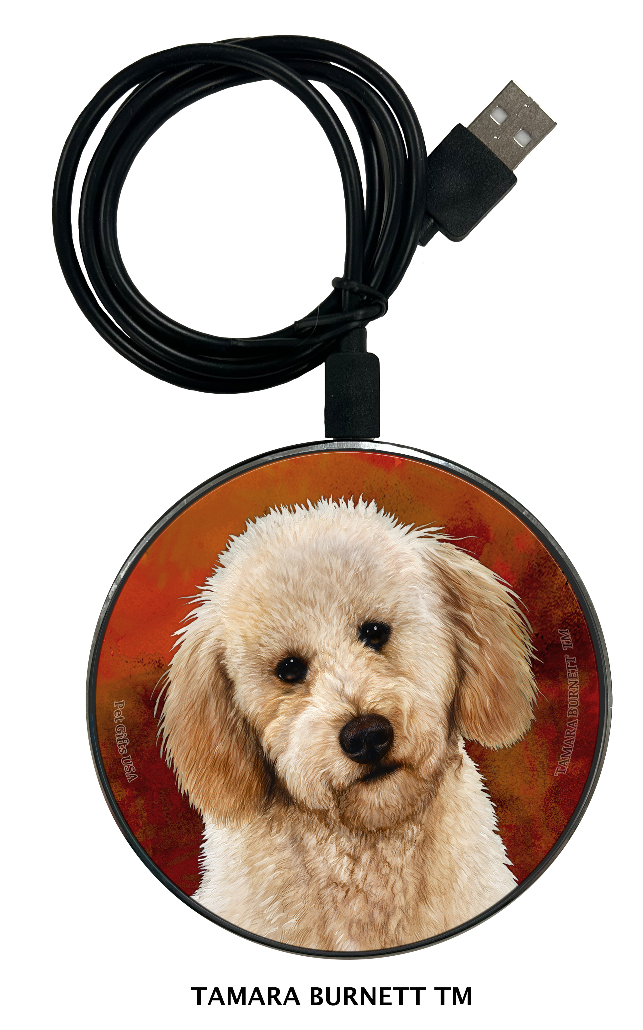 Zoomies Chargers sample image