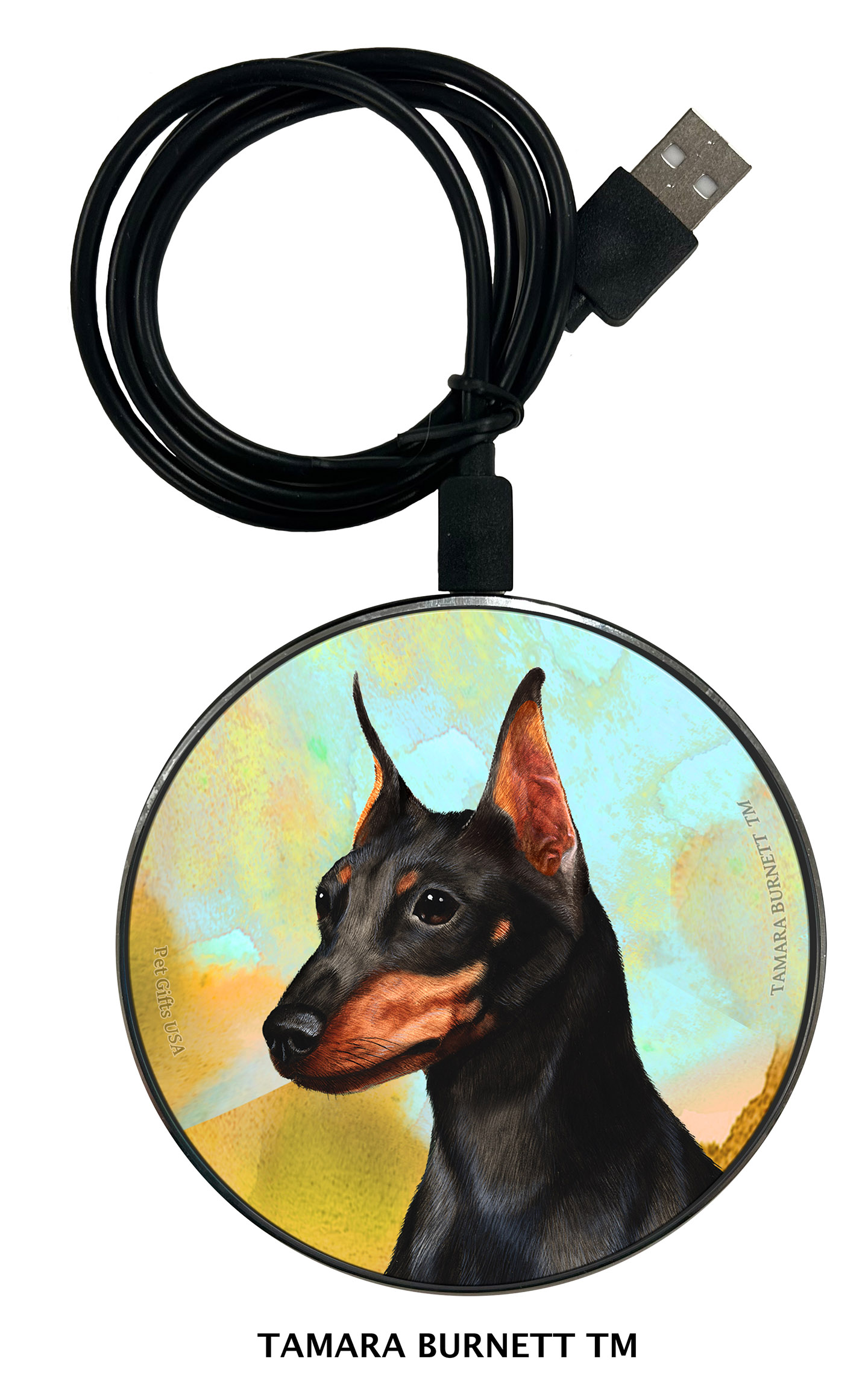 An image of product 30138 - Min Pin Cropped Black and Tan - Zoomies Phone Charger