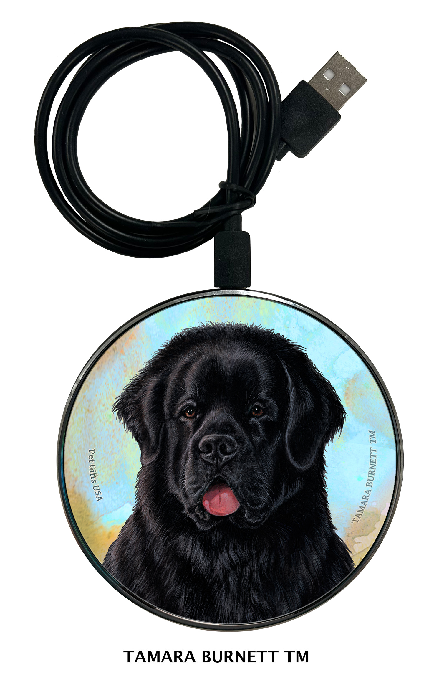 An image of product 29905 - Newfoundland Black - Zoomies Phone Charger