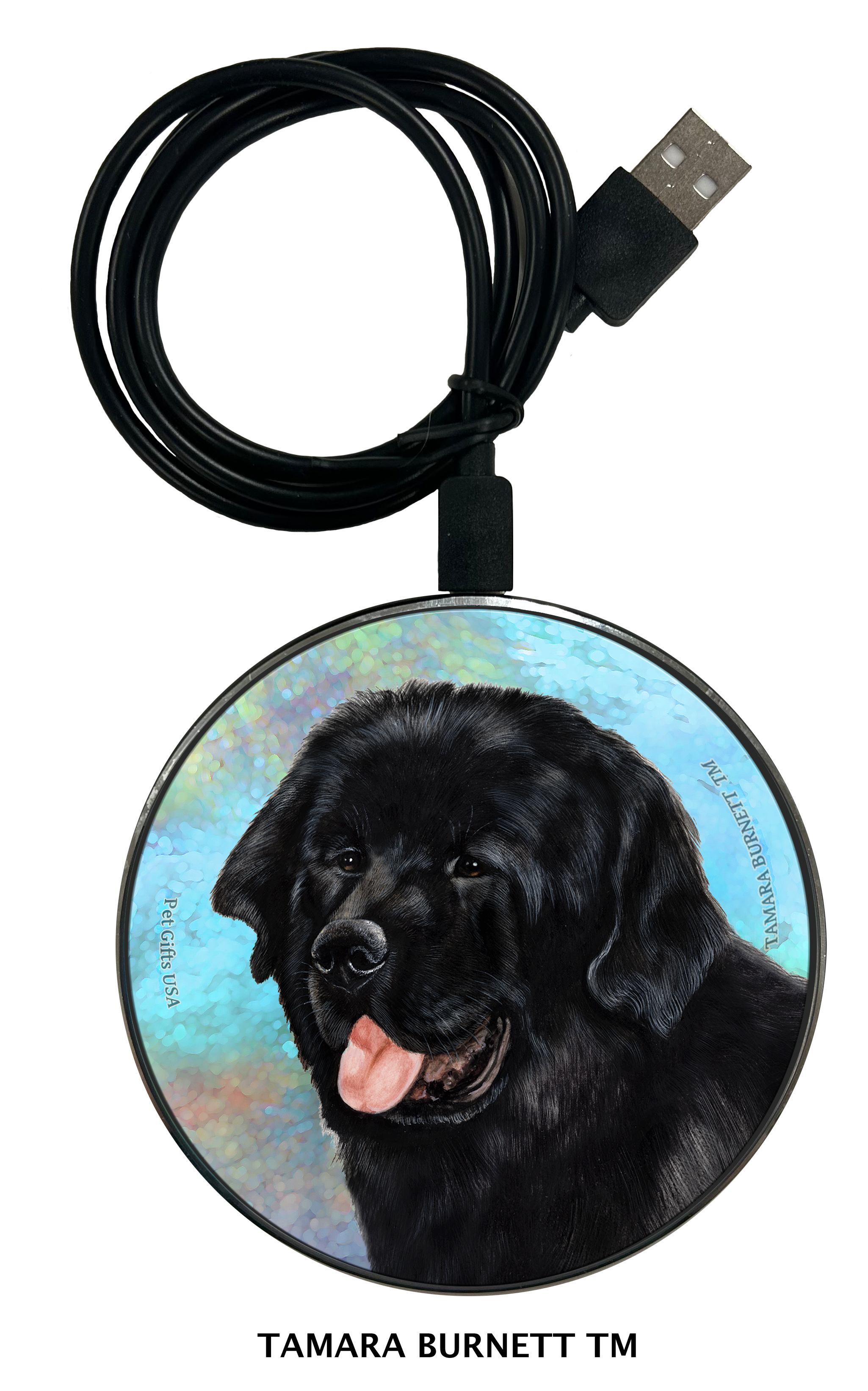 An image of product 30139 - Newfoundland Black - Zoomies Phone Charger