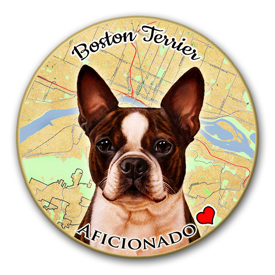 Boston Terrier Brindle and White - Coaster Buddy image