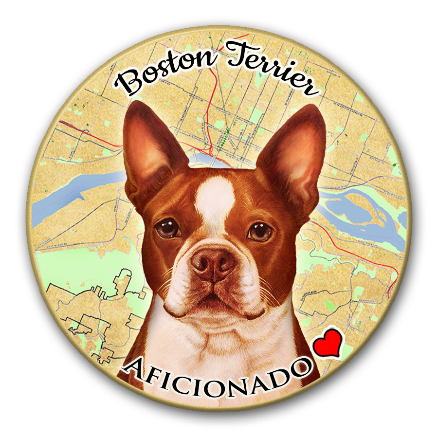 Boston Terrier Red and White - Coaster Buddy image