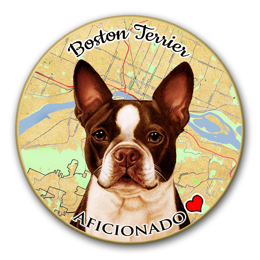 Boston Terrier Seal and White - Coaster Buddy image