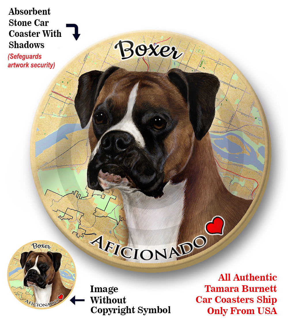 Boxer (Uncrop, Fawn) - Coaster Buddy Image