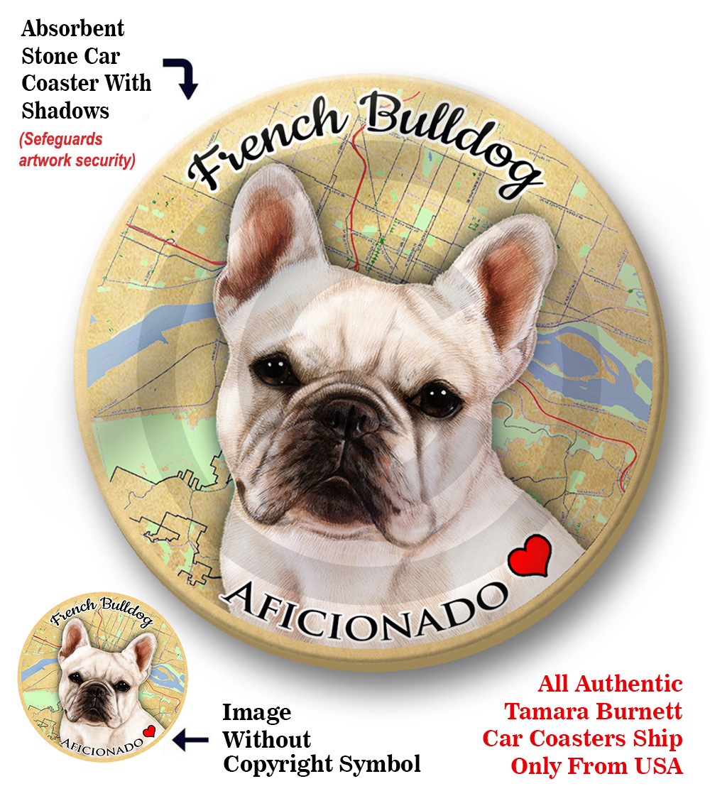 thumbnail interactive-video image 1 of E&S Imports French Bulldog Ceramic Coaster - 4x4 Inch Absorbent Coaster With Cork Backing 1 of 11