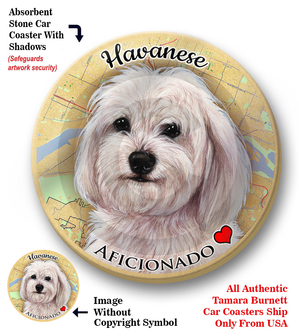 Havanese (White) - Coaster Buddy Image