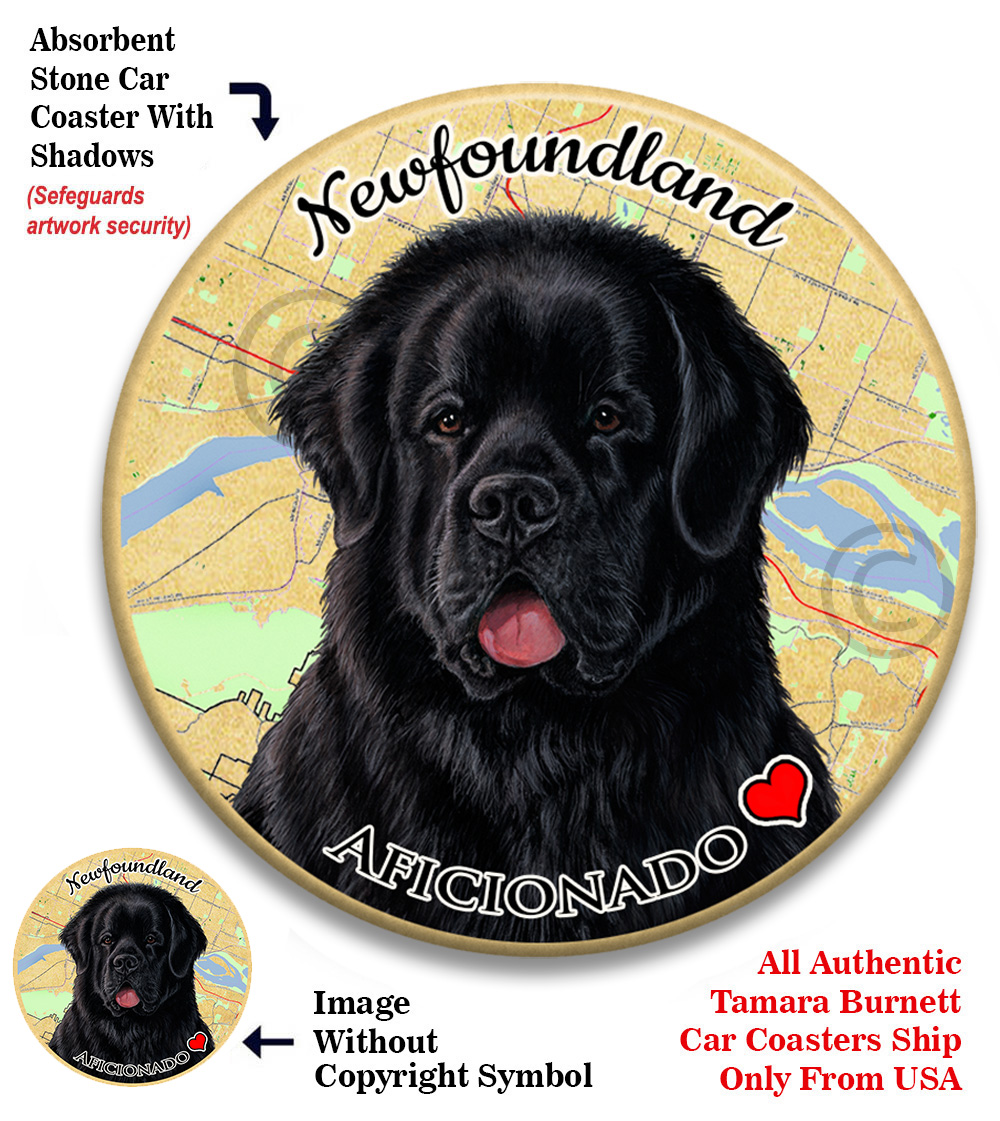 An image of product 8289 - Newfoundland Black - Coaster Buddy