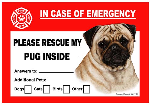 Pug Pet Savers - Emergency Cling Image