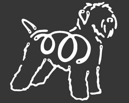 Soft Coated Wheaten Terrier - Window Tattoo Image