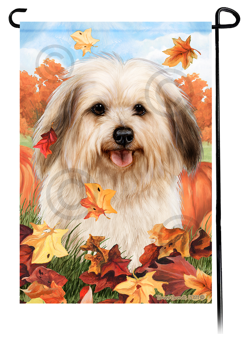 Havanese Cream Sable (Puppy) Falling Leaves - Garden Flag Image