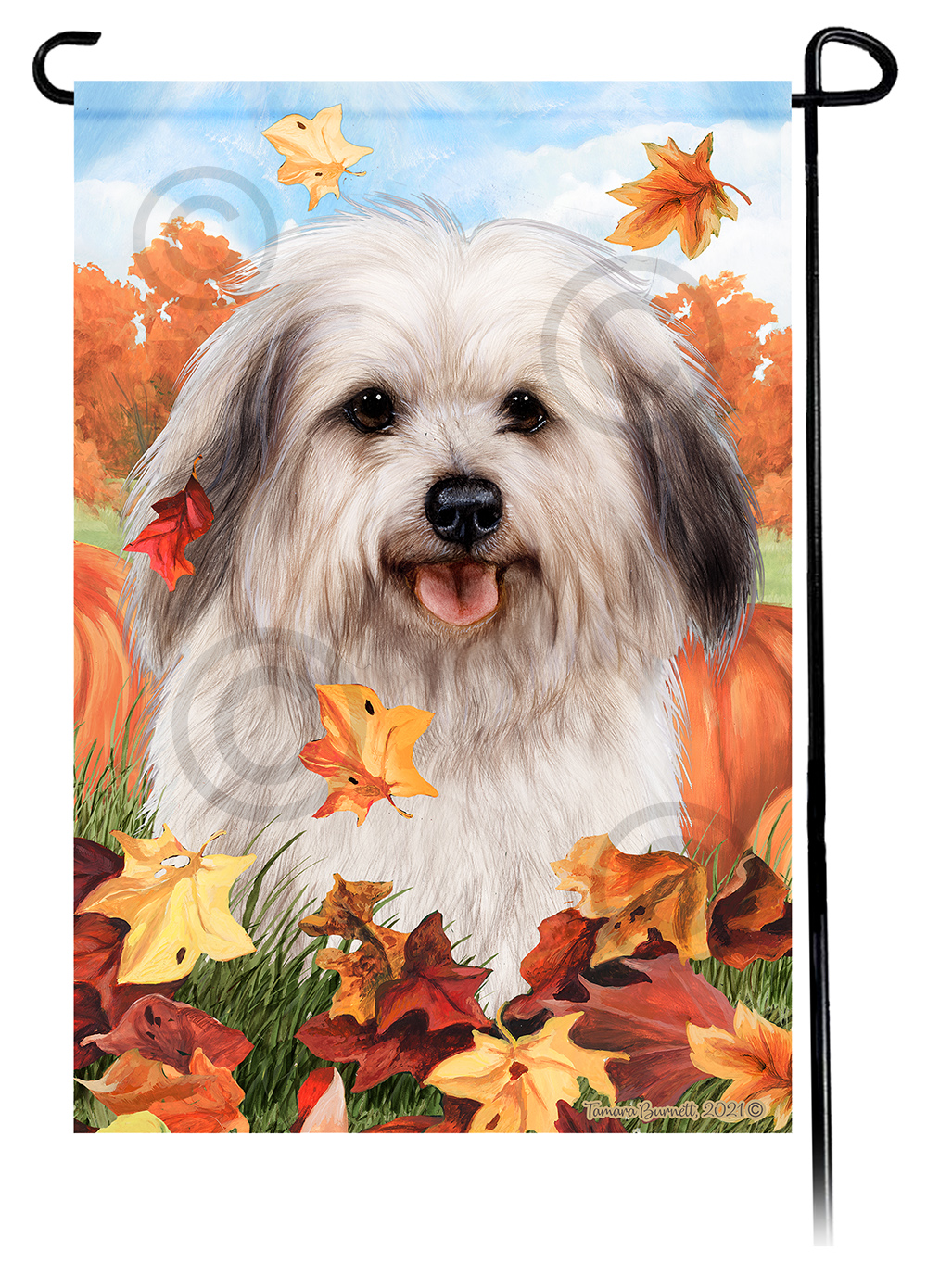 Havanese Grey Sable Falling Leaves - Garden Flag Image