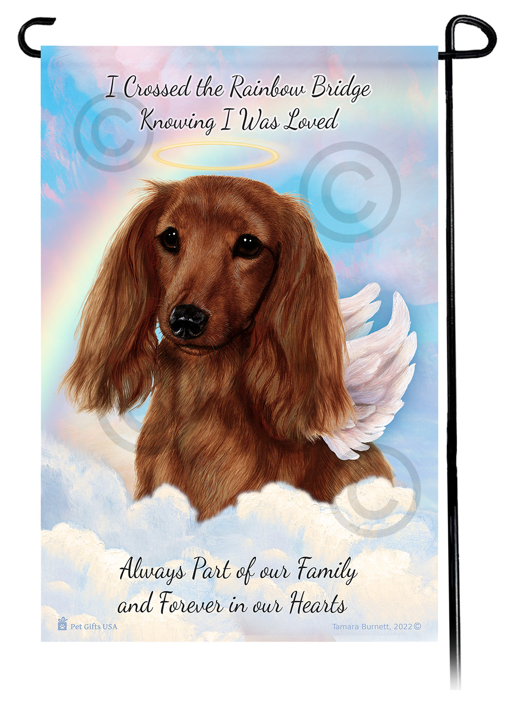 Pet Loss & Bereavement