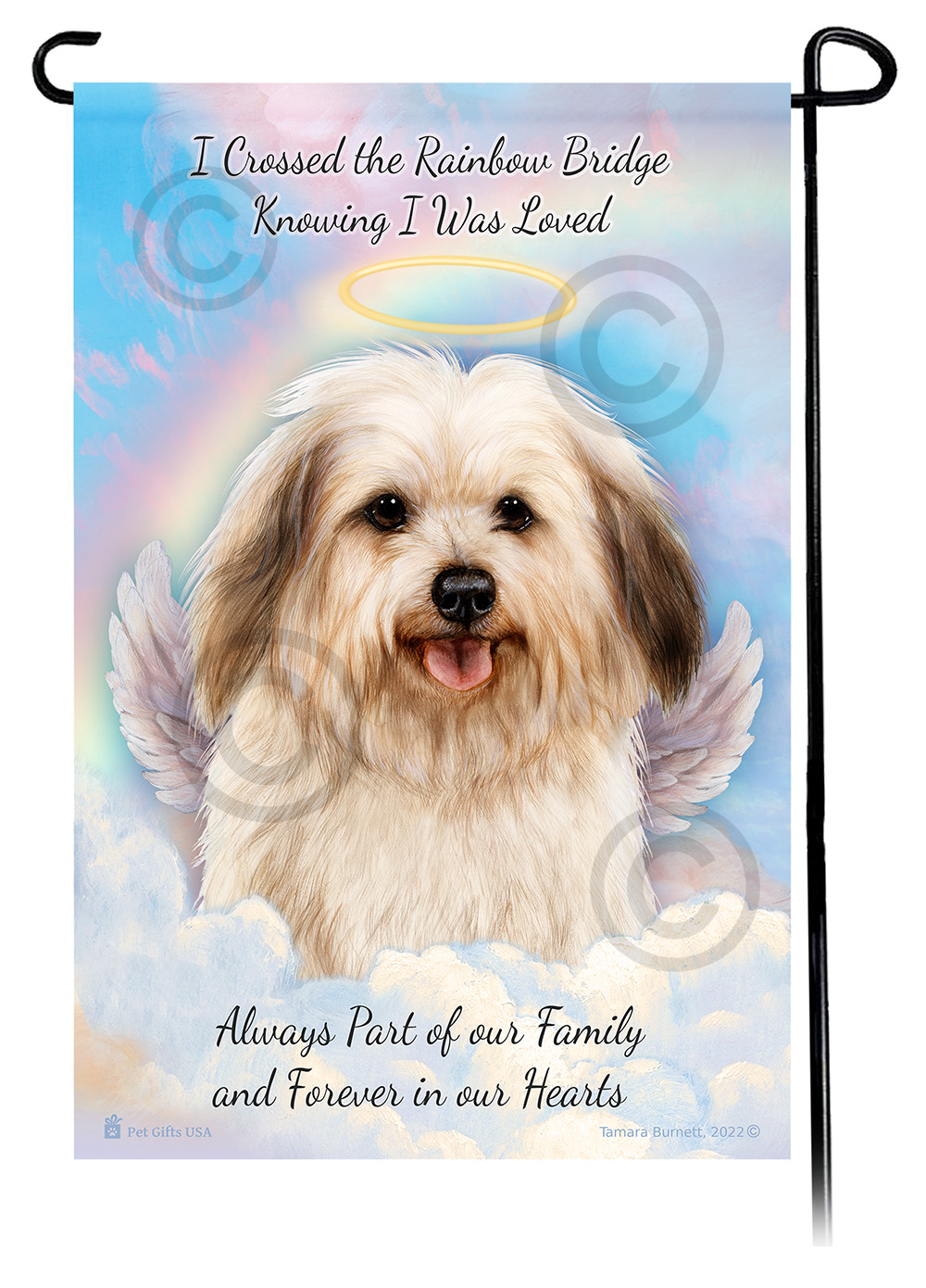 Pet Loss & Bereavement