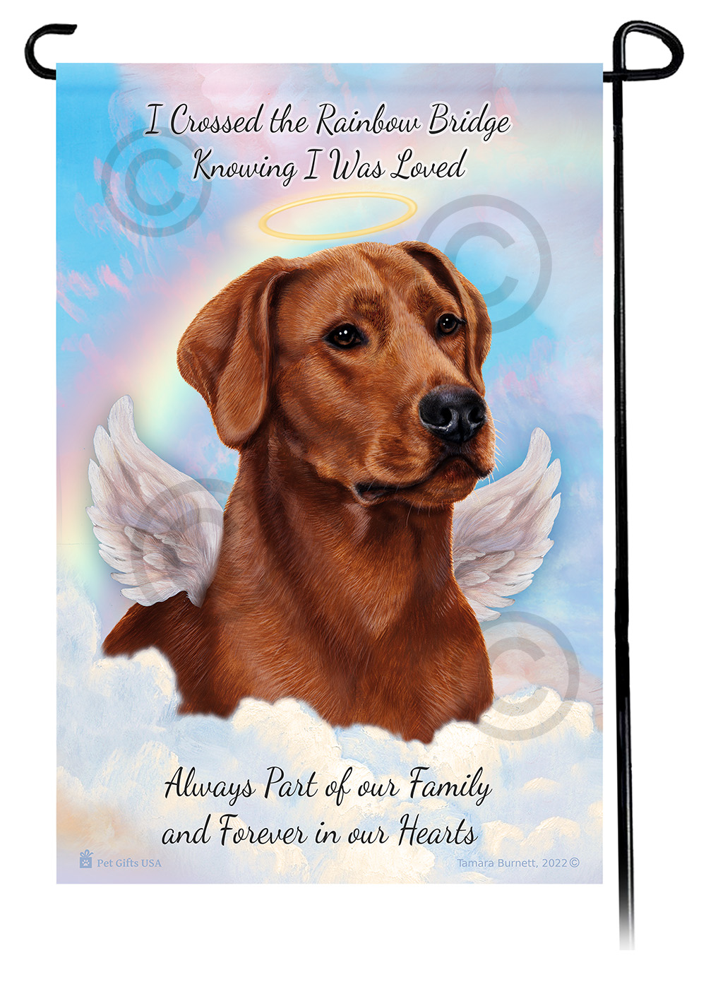 Pet Loss & Bereavement sample image