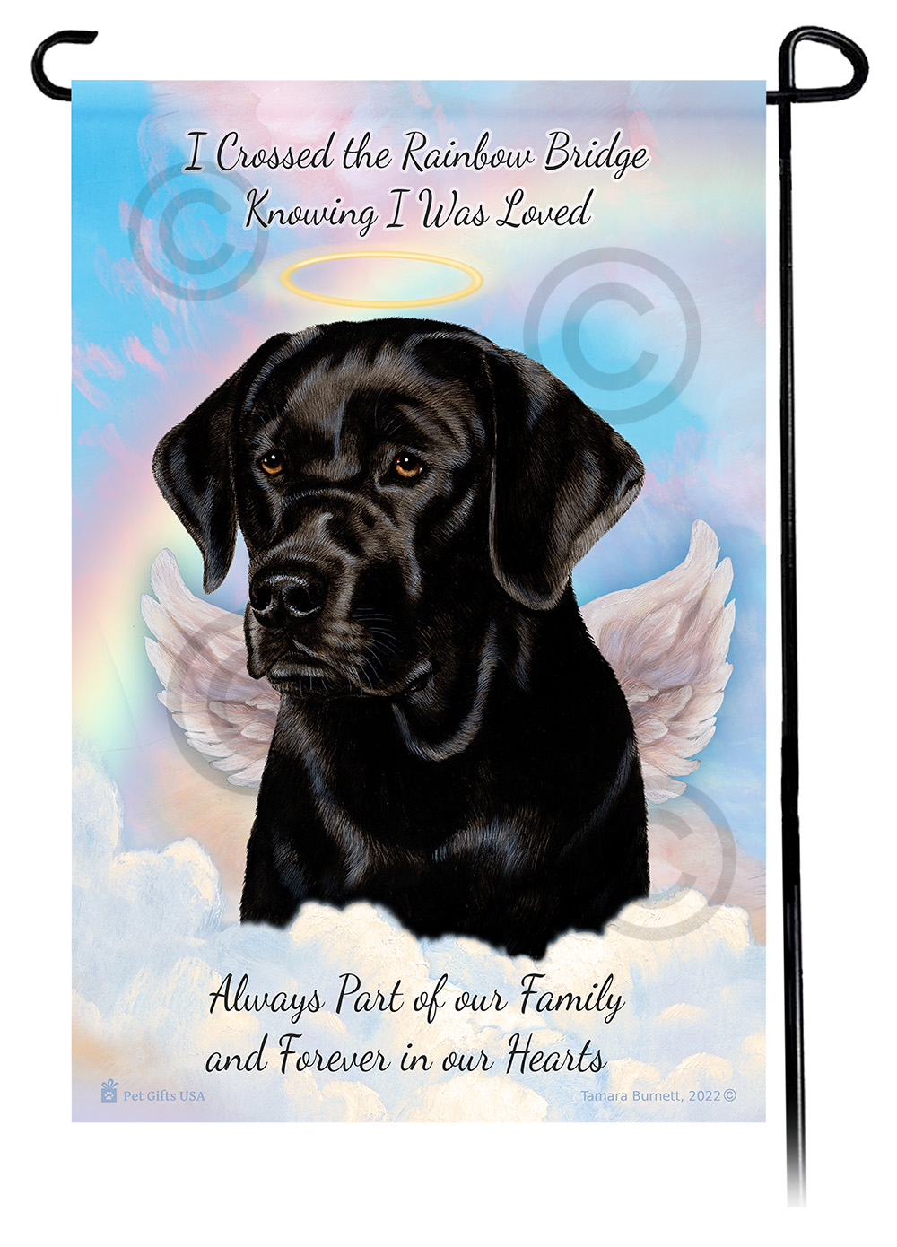 Pet Loss & Bereavement sample image