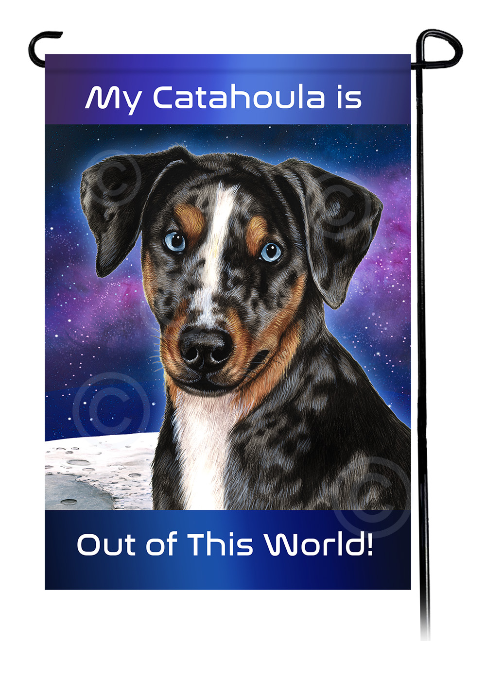 Out Of This World Garden Flags sample image