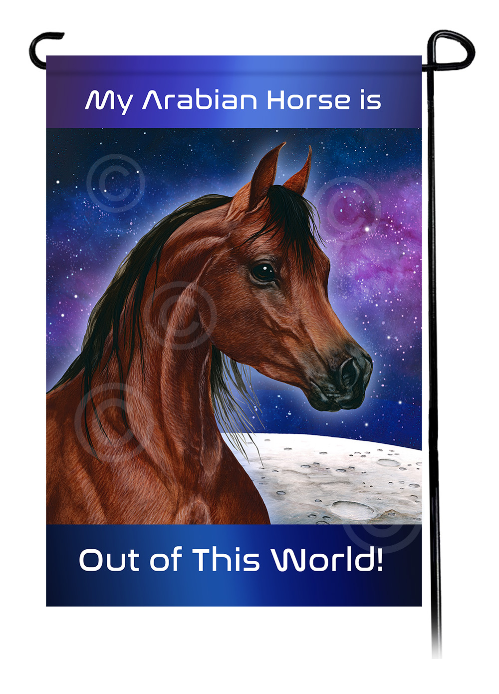 Horse Arabian Bay - Out Of This World Garden Flag image