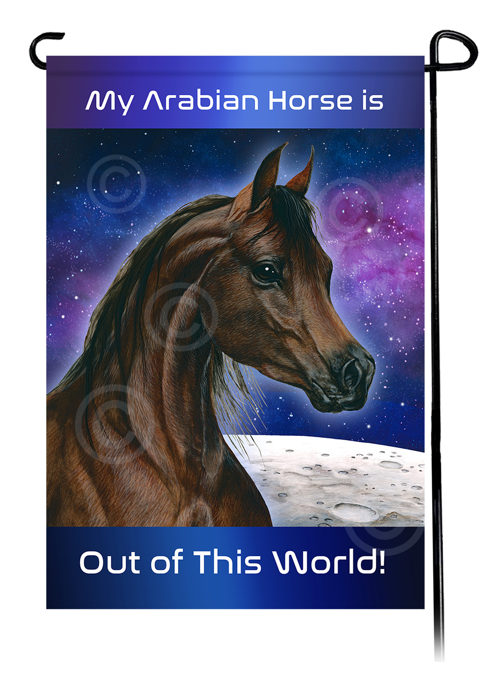 Horse Arabian Chestnut - Out Of This World Garden Flag image