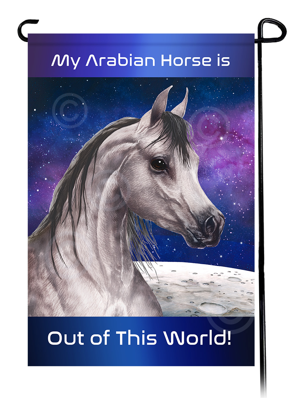 Horse Arabian Grey Dapple - Out Of This World Garden Flag image