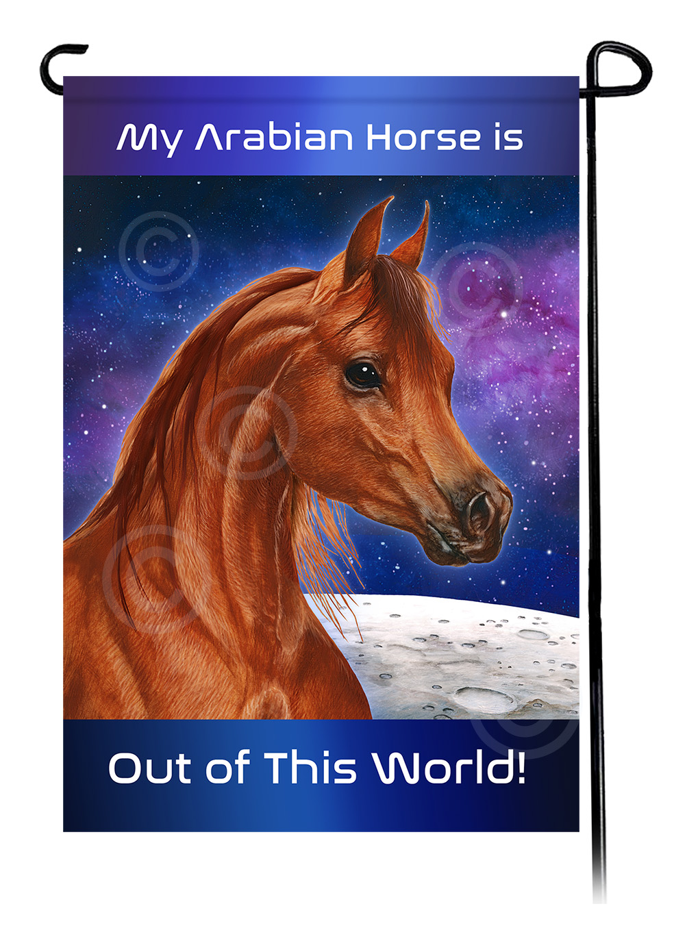 Horse Arabian Sorrel - Out Of This World Garden Flag image
