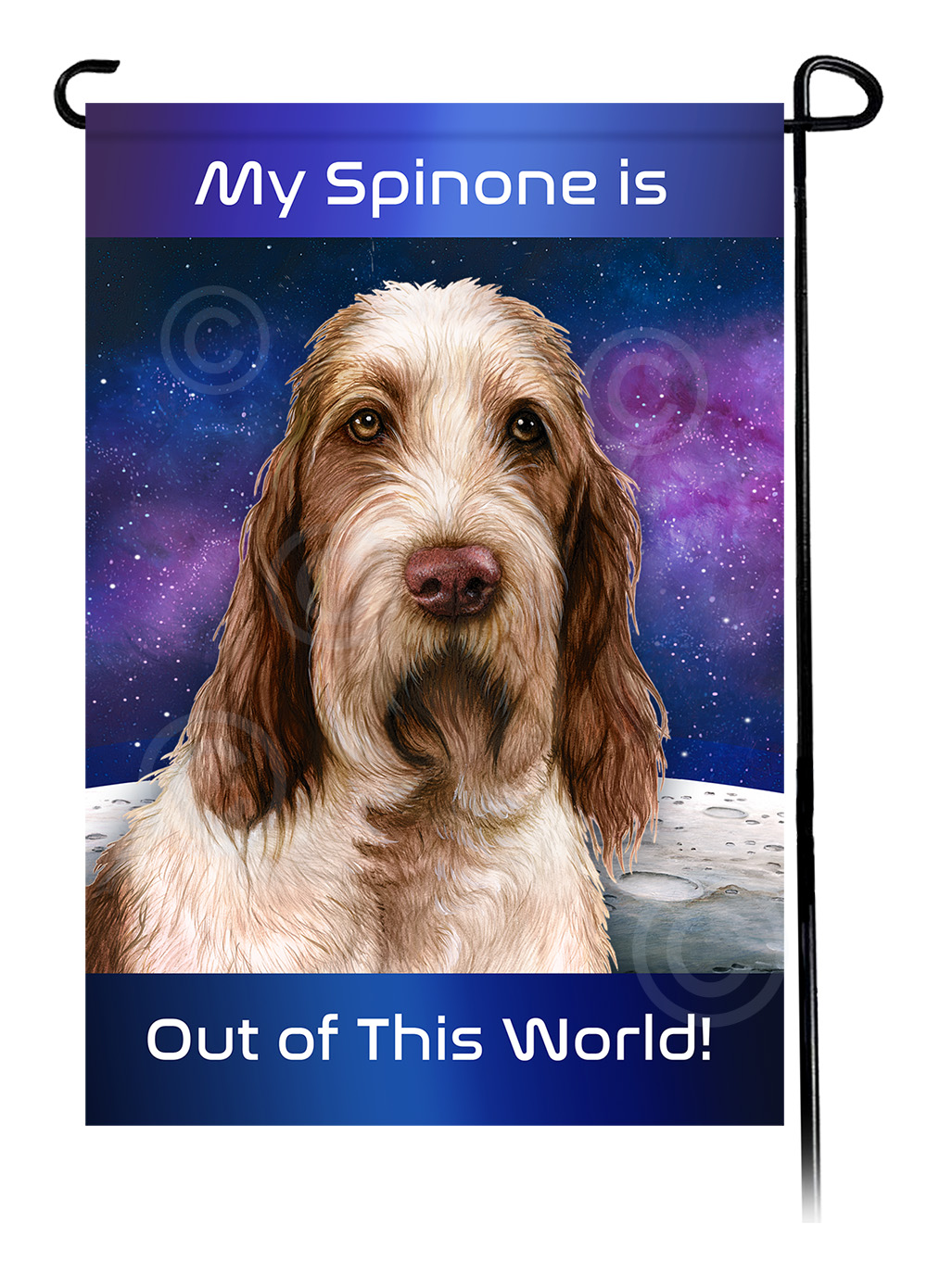 Spinone Italiano Brown/White - NEW - Out Of This World Garden Flag image