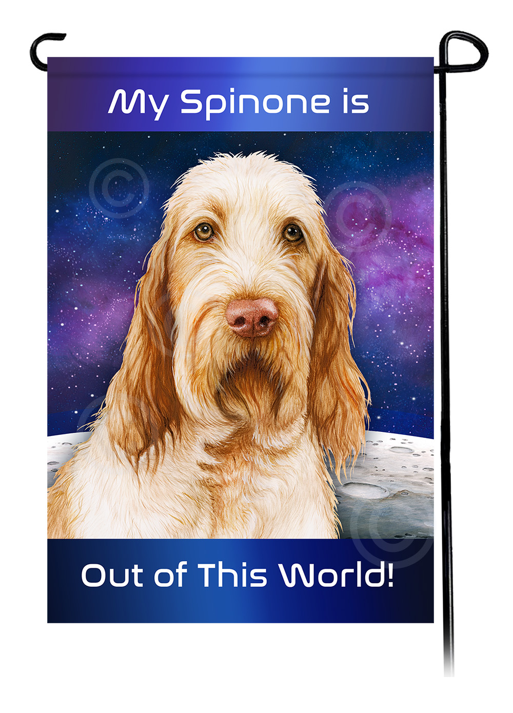 Spinone Italiano Orange/White - NEW - Out Of This World Garden Flag image
