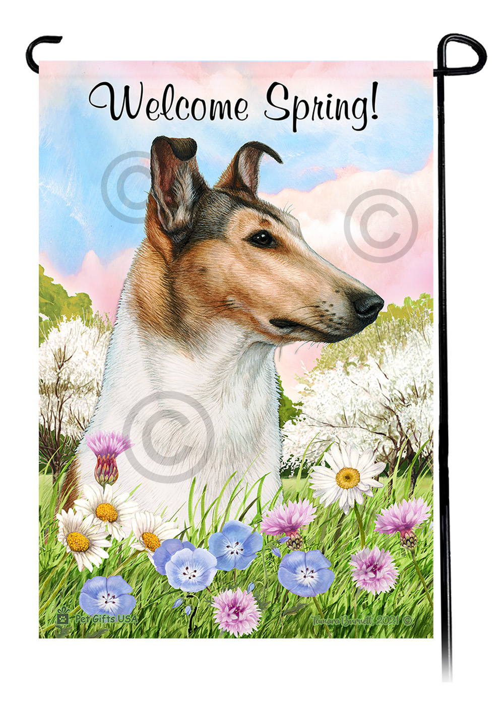 Smooth Collie Sable and White - Welcome Spring Garden Flag image