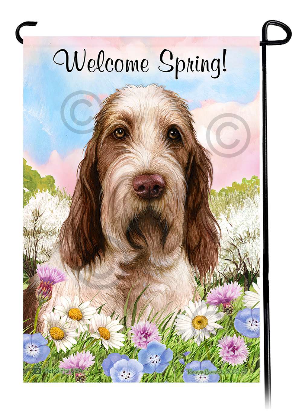 Spinone Italiano Brown and White - Welcome Spring Garden Flag image