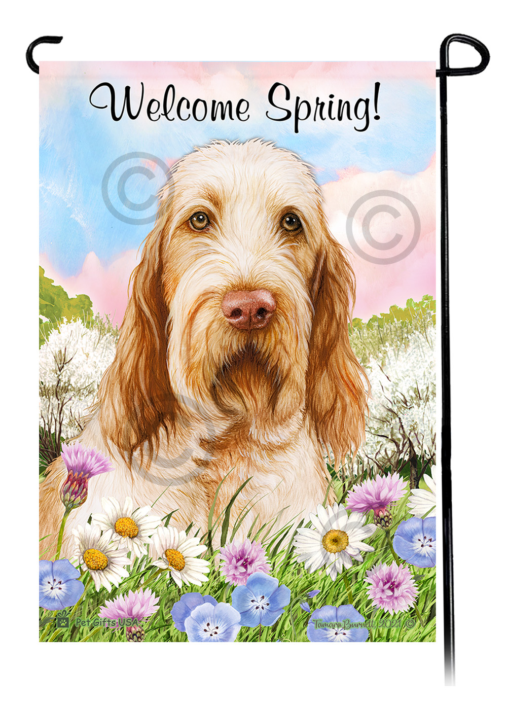 Spinone Italiano Orange and White - Welcome Spring Garden Flag image
