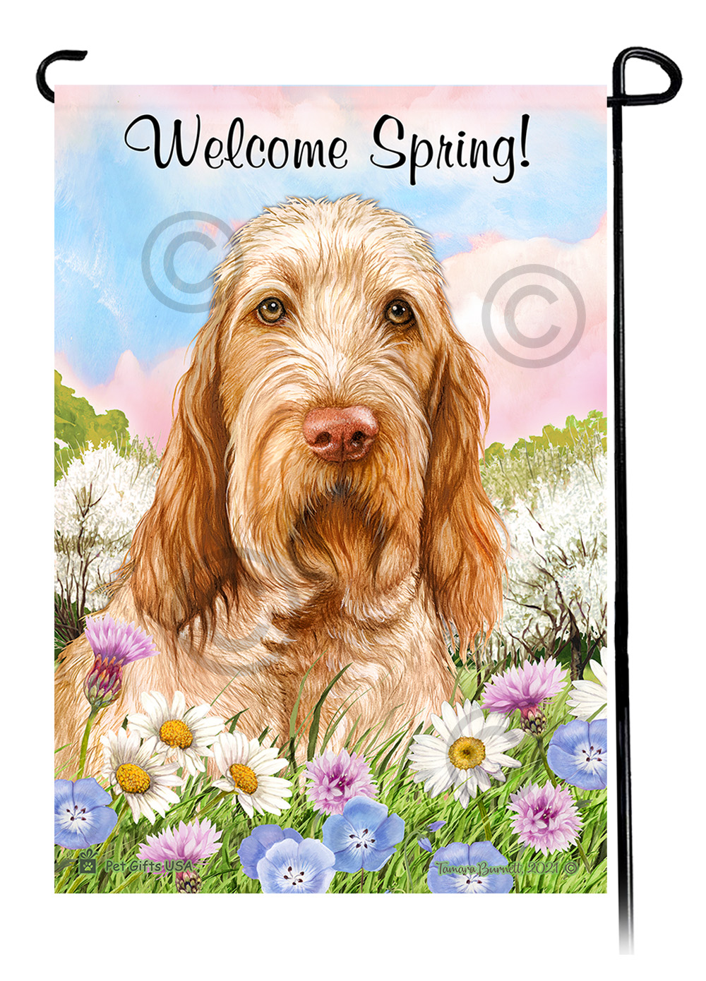 Spinone Italiano Orange Roan - Welcome Spring Garden Flag image