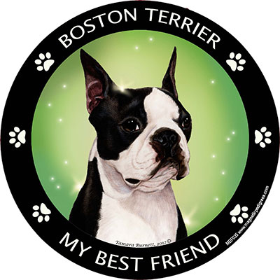 Boston Terrier - My Best Friends Magnet Image