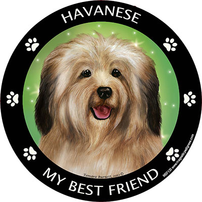 Havanese - My Best Friends Magnet Image