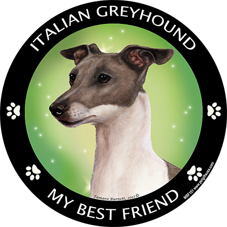 Italian Greyhound (Grey & White) - My Best Friends Magnet Image