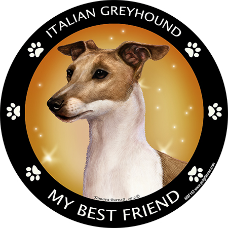 Italian Greyhound (Fawn & White) - My Best Friends Magnet Image