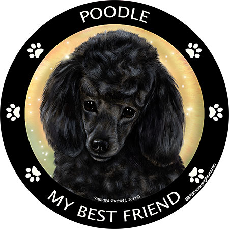 My Best Friend Magnets sample image