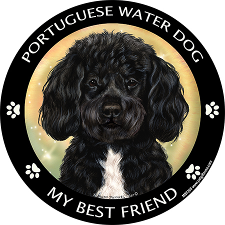 Portugeuse Water Dog (Black & White) - My Best Friends Magnet Image