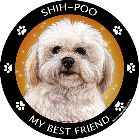 Shih Poo - My Best Friends Magnet Image