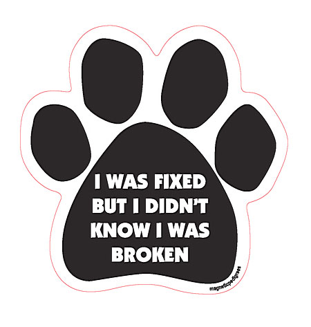 Dog Paw Magnets sample image