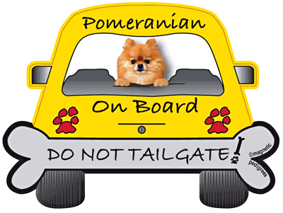 Pomeranian On Board - Do Not Tailgate Magnet Image