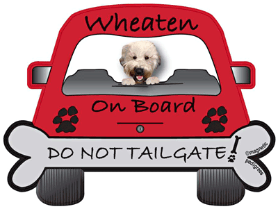 Wheaten On Board - Do Not Tailgate Magnet Image