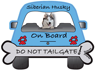 Do Not Tailgate Magnets sample image