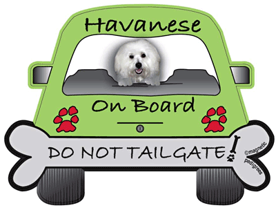 Havanese On Board - Do Not Tailgate Magnet Image
