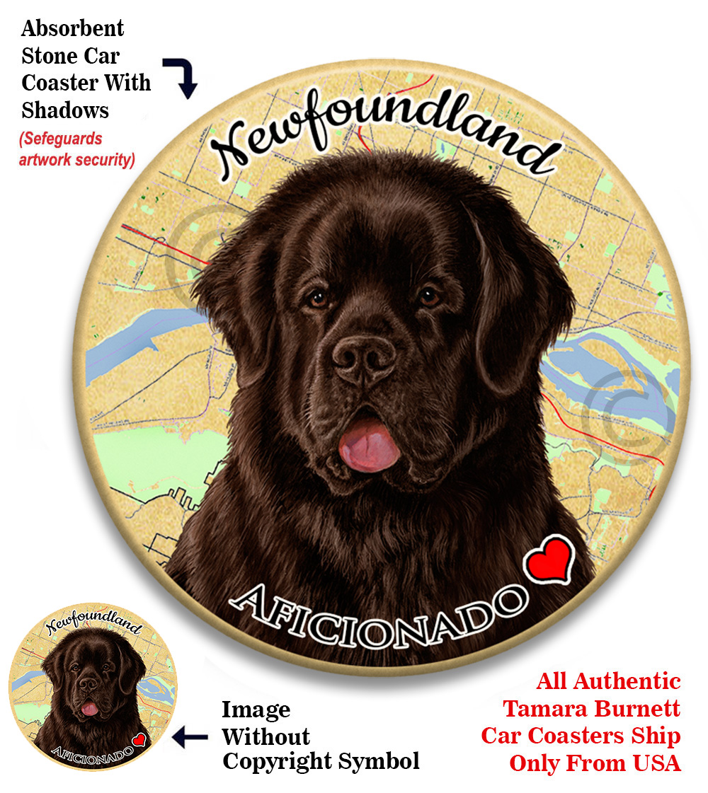 Newfoundland Chocolate - Coaster Buddy image