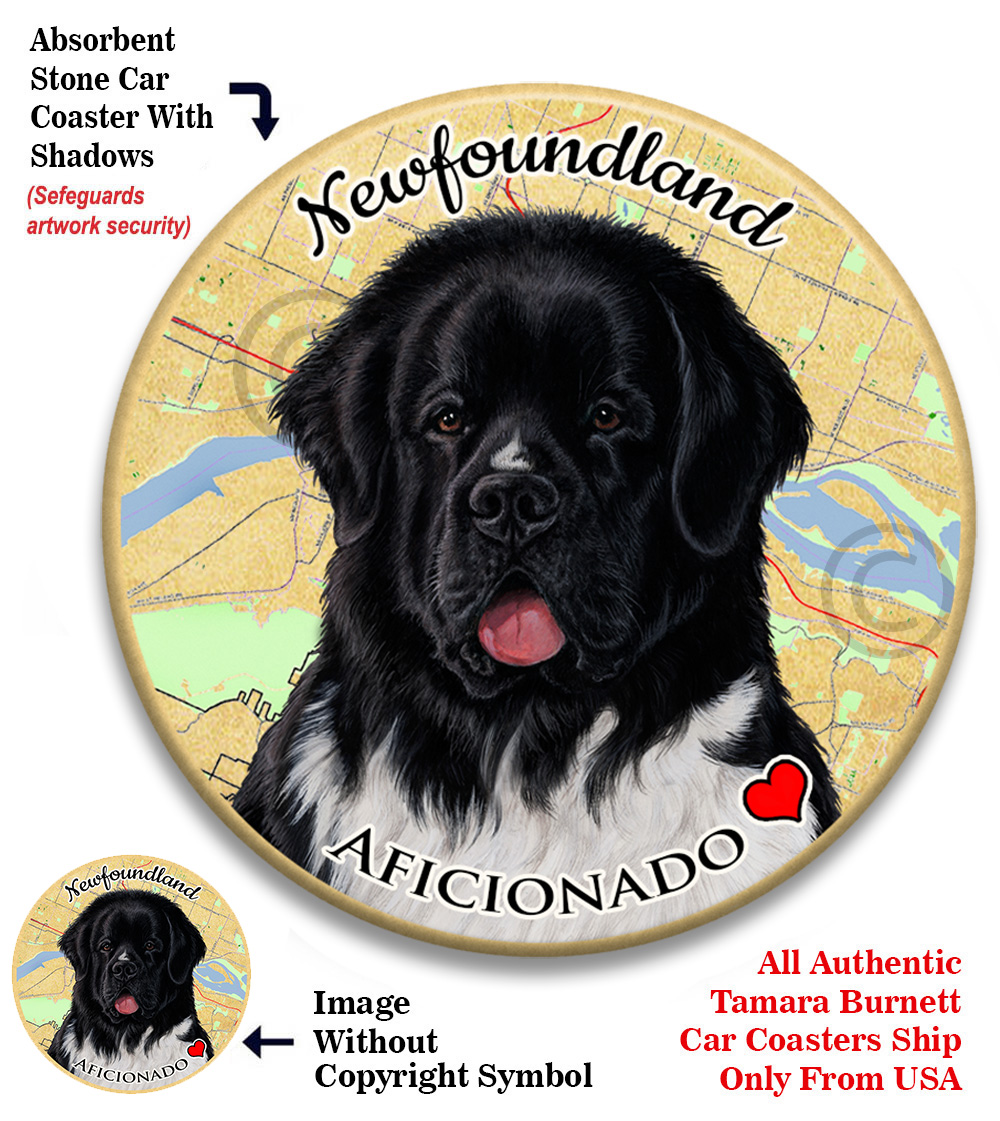 Newfoundland Landseer - Coaster Buddy image