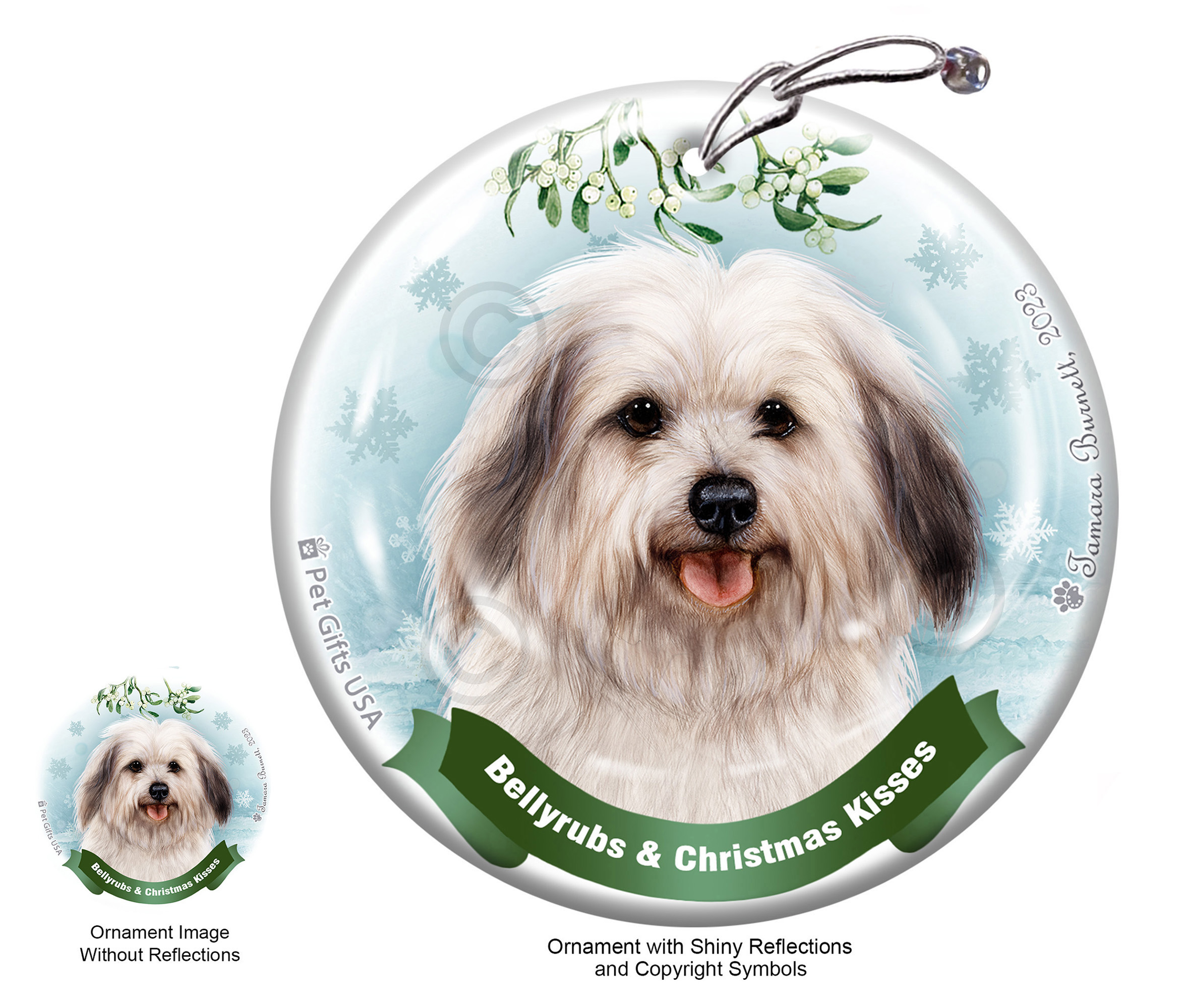 Havanese Grey Sable Belly Rubs and Christmas Kisses Ornament Image