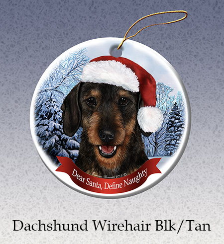 Dear Santa Ornaments