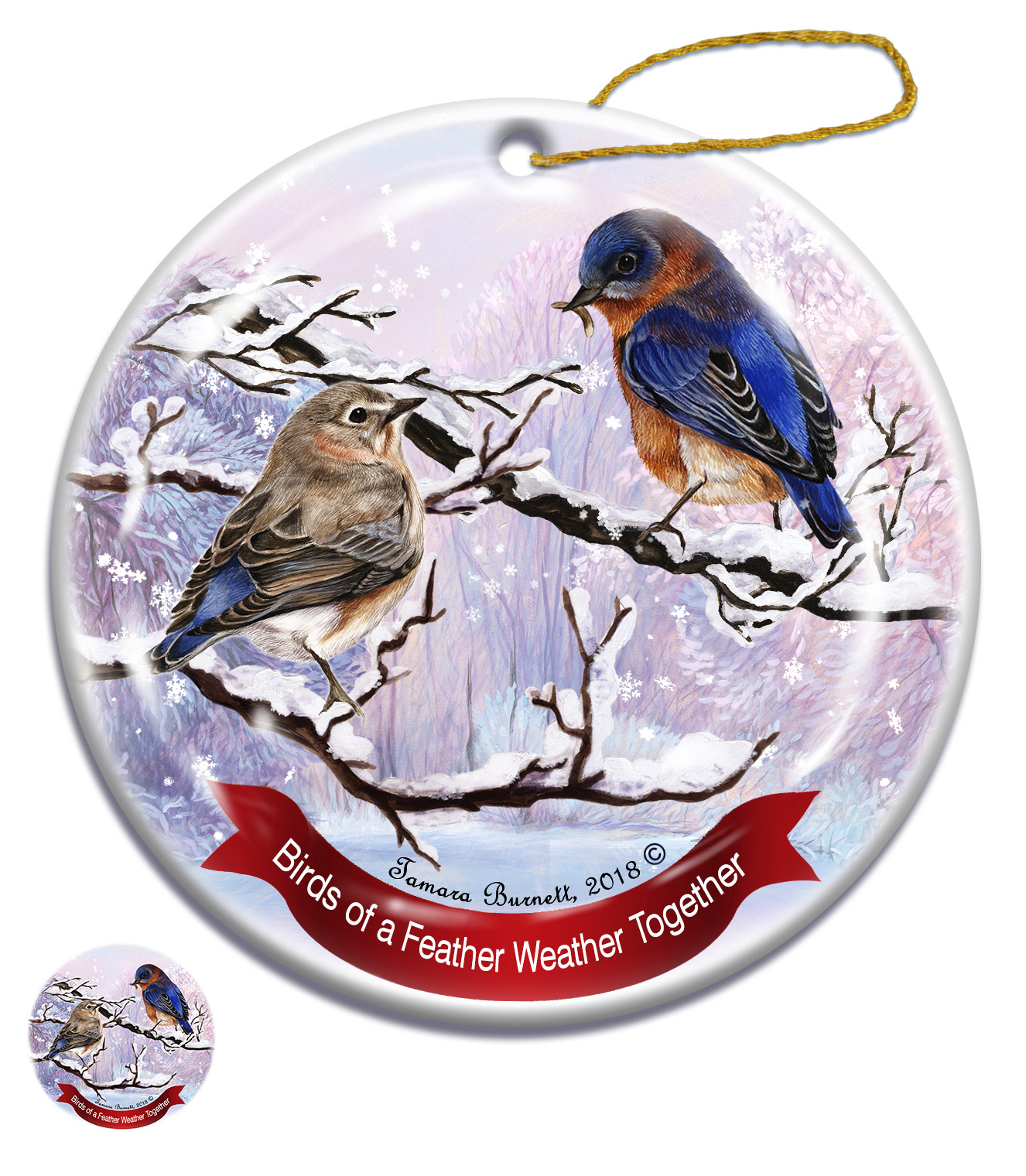 Eastern Blue Bird - Santa I Can Explain Ornament Image
