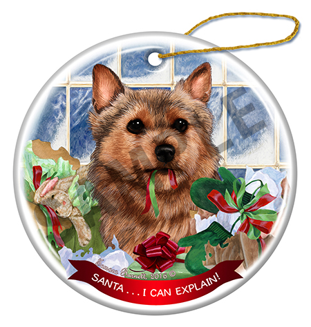 Santa I Can Explain Ornaments