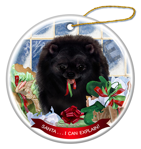 Pomeranian Black - Santa I Can Explain Ornament Image